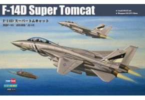 Збірна модель американського винищувача F-14D Super Tomcat