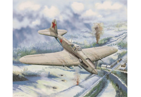 Сборная модель штурмовика Ил-2 