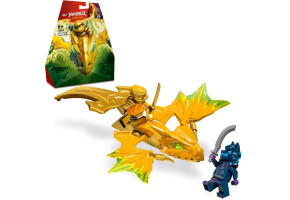 Конструктор LEGO NINJAGO Атака восставшего дракона Арина 71803