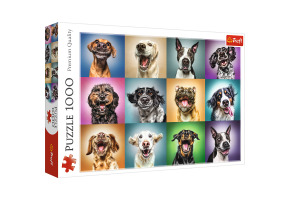 Пазли Смішні портрети собак 1000шт