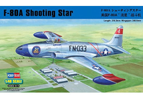 Збірна модель американського винищувача F-80 Shooting Star fighter