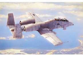 Scale model 1/48 Stormtrooper N/AW A-10A "THUNDERBOLT" II HobbyBoss 80324