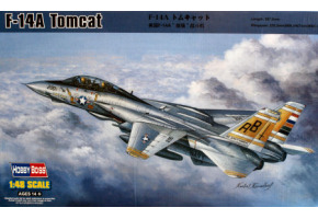 Збірна модель винищувача F-14 Tomcat