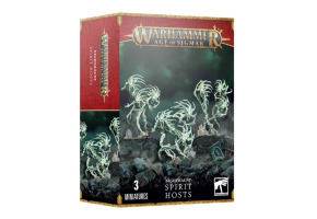 Ігровий набір Warhammer AGE OF SIGMAR - NIGHTHAUNT: SPIRIT HOSTS