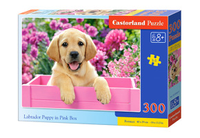 Пазл LABRADOR PUPPY IN PINK BOX 300 шт