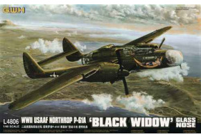 WWII USAAF Northrop P-61A 'Black Widow' Glass Nose