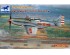 preview Scale model 1/48 PLA P-51D/K Mustang (1949 parade) Bronco 4010