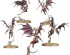 preview Ігровий набір Warhammer AGE OF SIGMAR - DAUGHTERS OF KHAINE - SCATHBORN COVEN