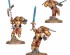 preview BLOOD ANGELS: SANGUINARY GUARD