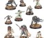 preview AGE OF SIGMAR: WARCRY - ROYAL BEASTFLAYERS