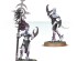 preview HEDONITES OF SLAANESH: DAEMONETTES