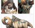 preview Игровой набор Warhammer AGE OF SIGMAR - SONS OF BEHEMAT - MA MAEGRAN CHOOSER OF THE MIGHTY