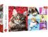 preview Puzzles Collage Happy cats 1000pcs
