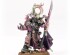 preview CHAMPIONS OF SLAANESH: EMPEROR'S CHILDREN ARMY SET (ENG)