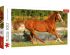 preview Puzzles running horse 500 pcs