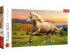preview Puzzles Gallop at sunset 500pcs