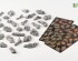 preview Набір для декорування підставок золота осінь Golden Autumn Glade Basing Box Gamers Grass GGSB-GAGBB