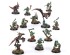 preview AGE OF SIGMAR: WARCRY - HUNTERS OF HUANCHI