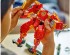 preview Constructor LEGO NINJAGO Fire robot Kai 71808