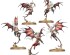 preview Ігровий набір Warhammer AGE OF SIGMAR - DAUGHTERS OF KHAINE - SCATHBORN COVEN