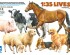 preview Scale model 1/35 Livestock Set II Tamiya 35385