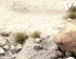 preview Имитация &quot;Текстура Серый песок&quot; (200 мл) (Grey Sand) Vallejo 26215
