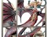 preview DAUGHTERS OF KHAINE: MORATHI