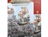 preview Warhammer AGE OF SIGMAR SPEARHEAD: KHARADRON OVERLORDS - DREKKI'S PRIVATEERS Game Set