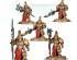 preview ADEPTUS CUSTODES BATTLEFORCE: AURIC CHAMPIONS