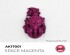 preview Акрилова фарба SPACE MAGENTA / Манджент космос QUICK GEN COLOR AK-interactive AK 17001