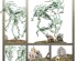preview Игровой набор Warhammer AGE OF SIGMAR - NIGHTHAUNT: SPIRIT HOSTS