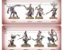 preview Игровой набор Warhammer AGE OF SIGMAR - HEDONITES OF SLAANESH -  THE DECADENT HOST