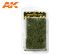 preview SUMMER DARK GREEN SHRUBBERIES / Летние темно-зеленые кустарники