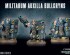 preview MILITARUM AUXILLA BULLGRYNS