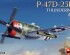 preview Сборная модель 1/48 Истребитель-бомбардировщик Republic P-47D-25RE Тандерболт (Базовый комплект)