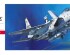 preview Scale model 1/72 F-15C Eagle Hasegawa 00336