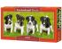 preview Puzzle &quot;Puppies Jack Russell Terrier&quot; 600 pieces