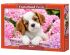 preview Puzzle PUP IN PINK FLOWERS 500 pieces