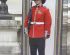 preview British Royal Guard Grenadier