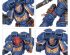 preview WARHAMMER 40000: SPACE MARINES - SPEARHEAD FORCE