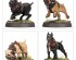 preview Игровой набор Warhammer AGE OF SIGMAR - CITIES OF SIGMAR - VEN DENST'S HOUNDS