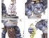 preview Игровой набор - WARHAMMER UNDERWORLDS: GITZ AND GOLIATHS