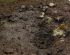 preview Terrains Muddy Ground 250ml / Паста для відтворення важких товстих брудних поверхонь