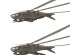 preview Scale model 1/72 Dune Harkonnen Ornithopter Meng DS-009