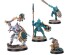 preview Ігровий набір Warhammer AGE OF SIGMAR: SPEARHEAD SERAPHON - SUNBLOODED PROWLERS