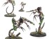 preview Ігровий набір Warhammer 40000 - NECRONS: BATTLEFORCE - NECRON HOST