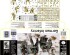 preview Збірна модель 1/35 Фігури Німецька піхота - Бастонь, 1944 рік (4 фігури) MasterBox 35254