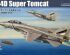 preview Buildable model of the American F-14D Super Tomcat