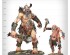 preview Игровой набор Warhammer AGE OF SIGMAR - SONS OF BEHEMAT -  STOMPER TRIBE