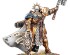 preview AGE OF SIGMAR: WARCRY - QUESTOR SOULSWORN